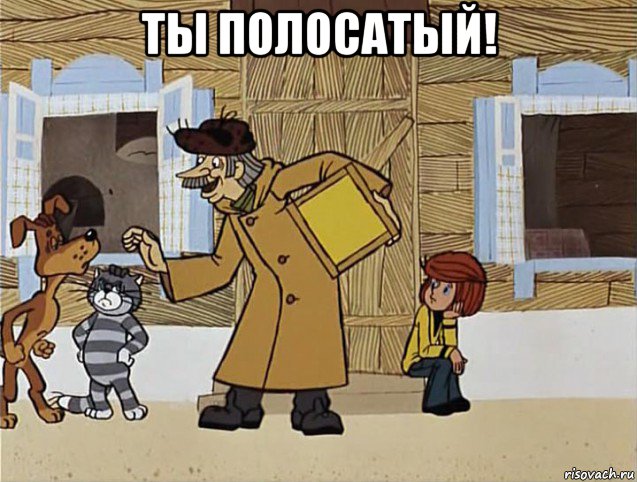 ты полосатый! 