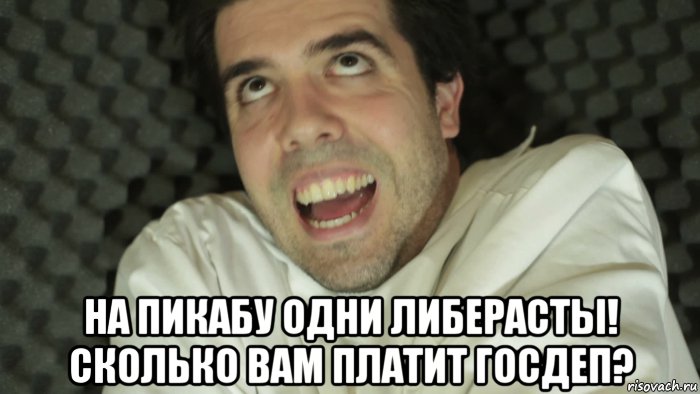  на пикабу одни либерасты! сколько вам платит госдеп?, Мем Пстх