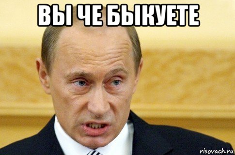 вы че быкуете , Мем путин