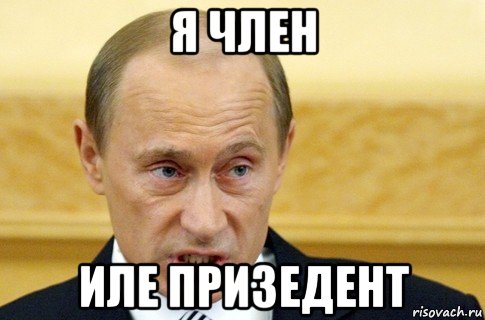 я член иле призедент, Мем путин