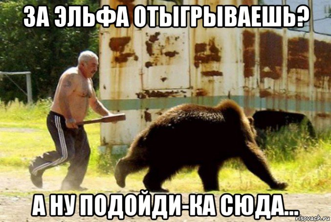 за эльфа отыгрываешь? а ну подойди-ка сюда..., Мем пьянка