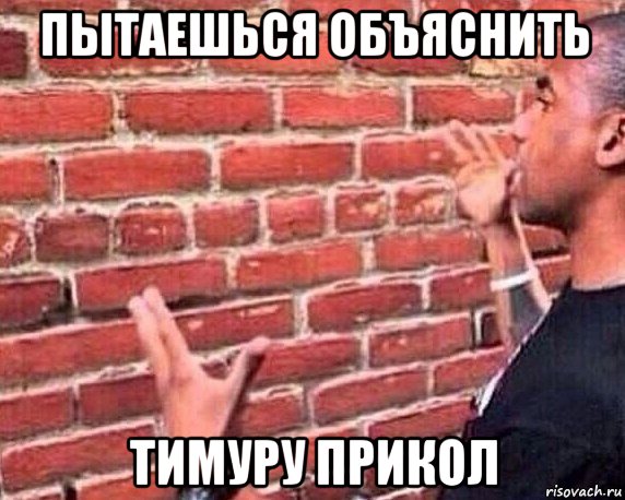 пытаешься объяснить тимуру прикол, Мем разговор со стеной