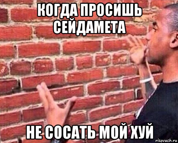 когда просишь сейдамета не сосать мой хуй, Мем разговор со стеной