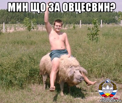 мин що за овцесвин? , Мем Рыцарь