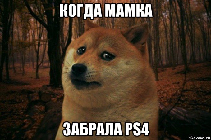 когда мамка забрала ps4, Мем SAD DOGE