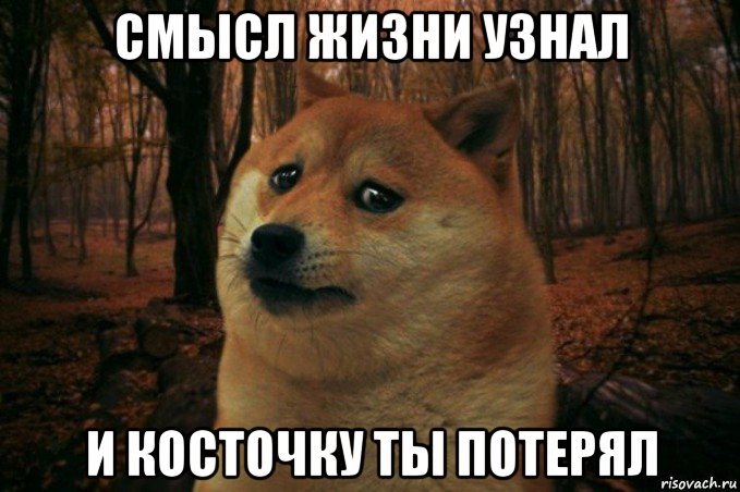 смысл жизни узнал и косточку ты потерял, Мем SAD DOGE