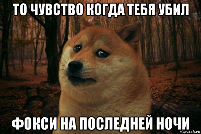 то чувство когда тебя убил фокси на последней ночи, Мем SAD DOGE