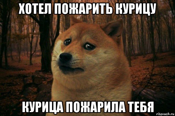 хотел пожарить курицу курица пожарила тебя, Мем SAD DOGE