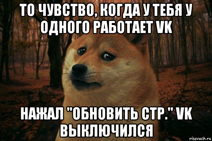 то чувство, когда у тебя у одного работает vk нажал "обновить стр." vk выключился, Мем SAD DOGE