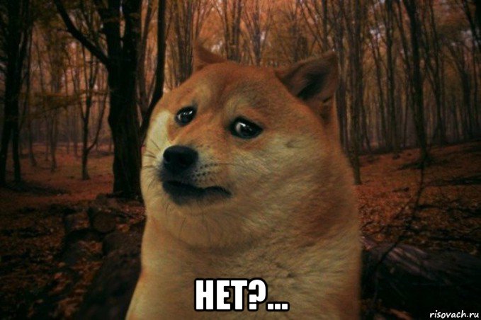  нет?..., Мем SAD DOGE