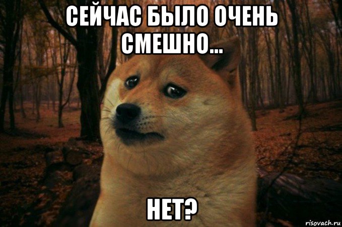 сейчас было очень смешно... нет?, Мем SAD DOGE