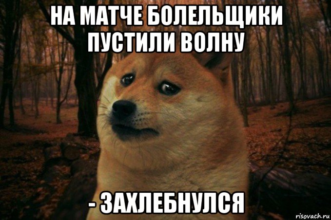 на матче болельщики пустили волну - захлебнулся, Мем SAD DOGE