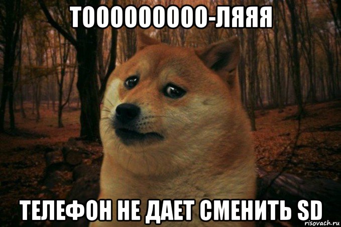 тооооооооо-ляяя телефон не дает сменить sd, Мем SAD DOGE