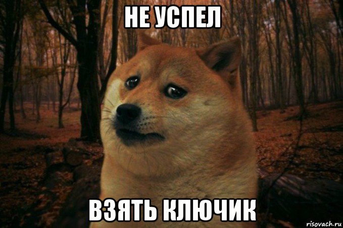 не успел взять ключик, Мем SAD DOGE