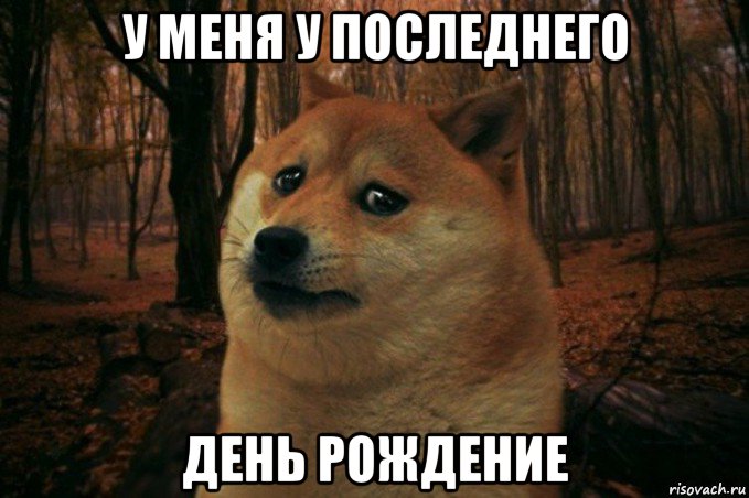 у меня у последнего день рождение, Мем SAD DOGE