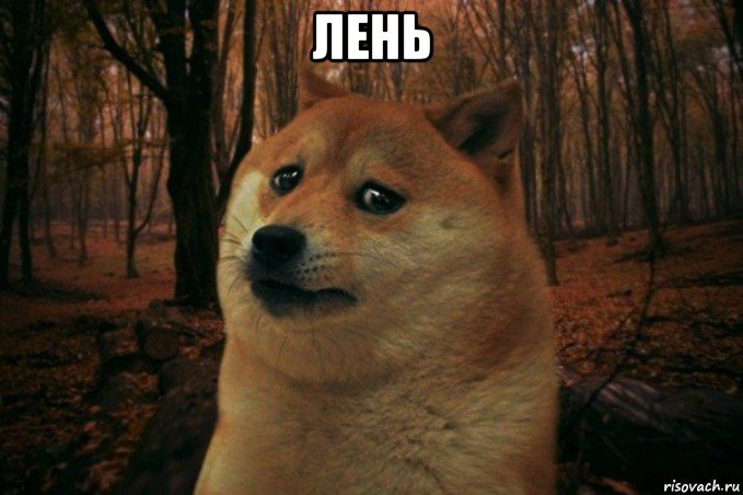 лень , Мем SAD DOGE