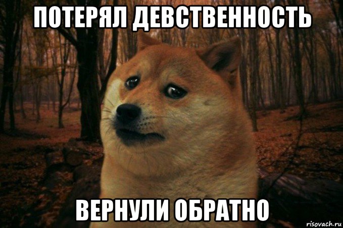 потерял девственность вернули обратно, Мем SAD DOGE