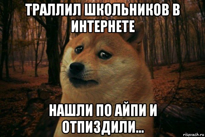 траллил школьников в интернете нашли по айпи и отпиздили..., Мем SAD DOGE