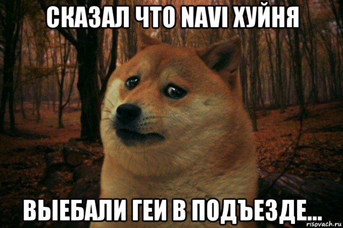 сказал что navi хуйня выебали геи в подъезде..., Мем SAD DOGE