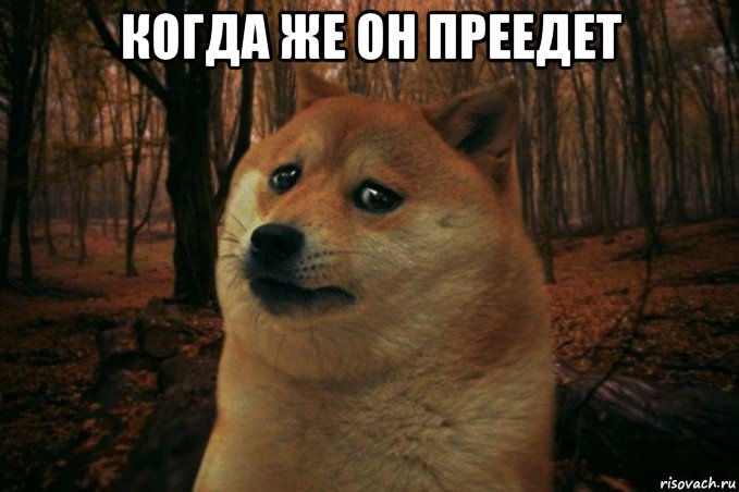 когда же он преедет , Мем SAD DOGE