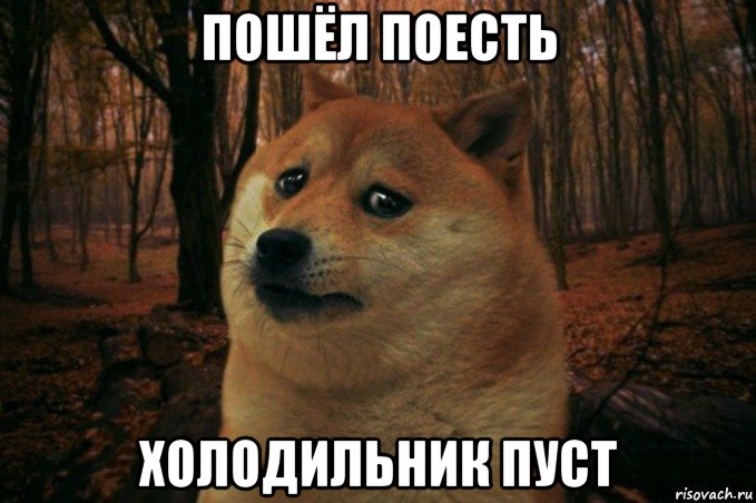 пошёл поесть холодильник пуст, Мем SAD DOGE