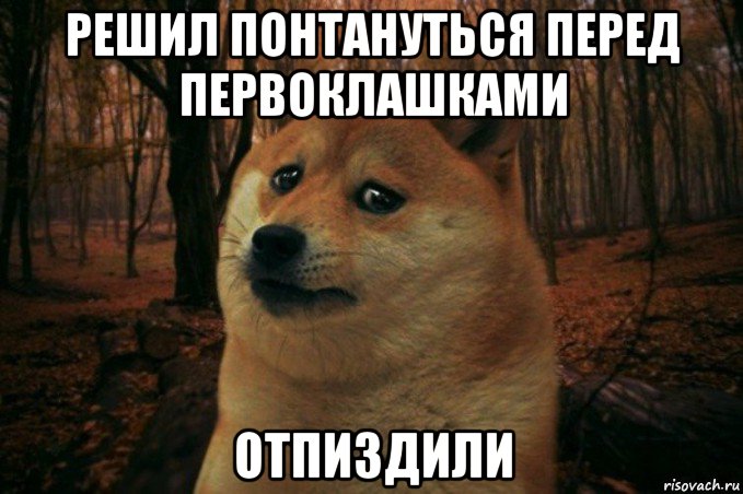 решил понтануться перед первоклашками отпиздили, Мем SAD DOGE