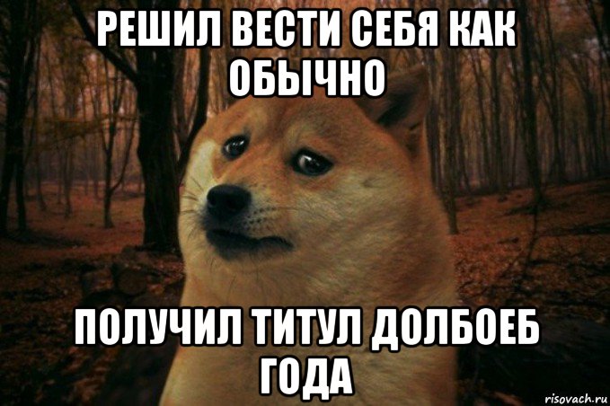 решил вести себя как обычно получил титул долбоеб года, Мем SAD DOGE