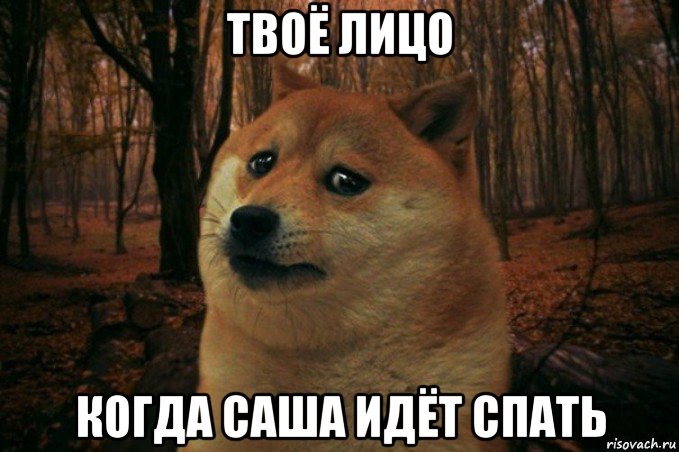 твоё лицо когда саша идёт спать, Мем SAD DOGE