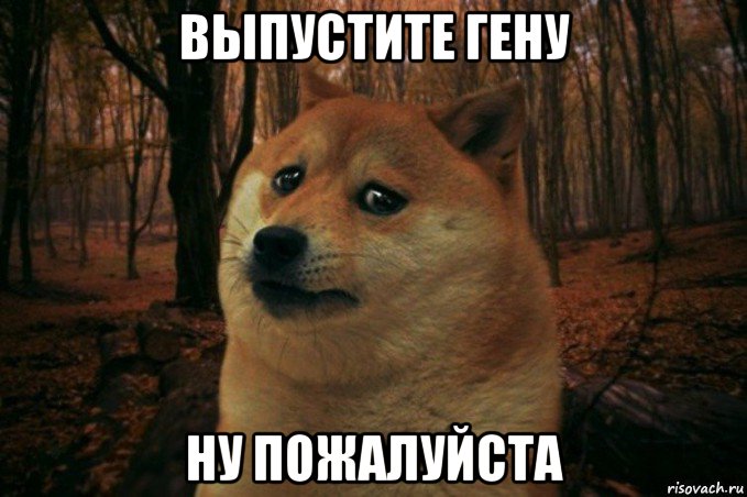 выпустите гену ну пожалуйста, Мем SAD DOGE