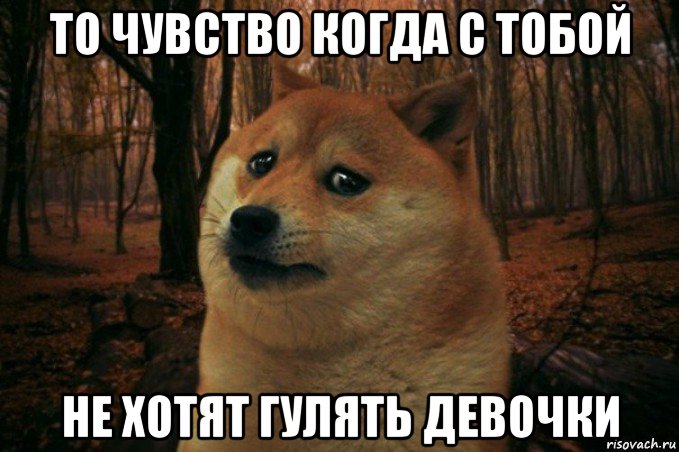 то чувство когда с тобой не хотят гулять девочки, Мем SAD DOGE