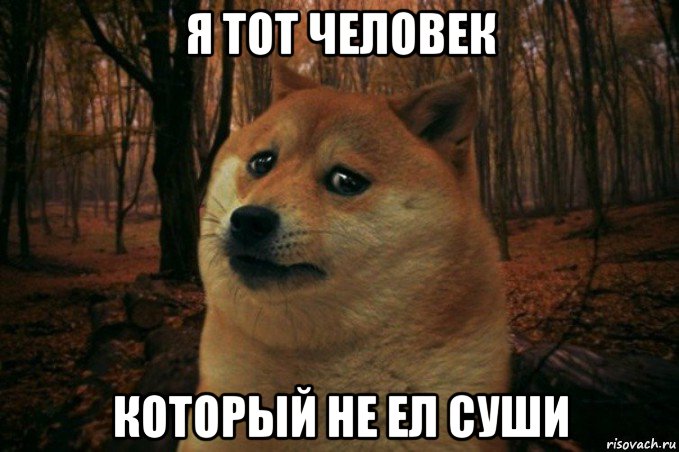 я тот человек который не ел суши, Мем SAD DOGE