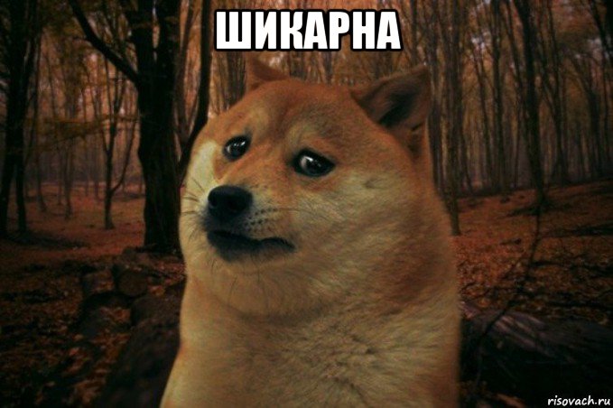 шикарна , Мем SAD DOGE