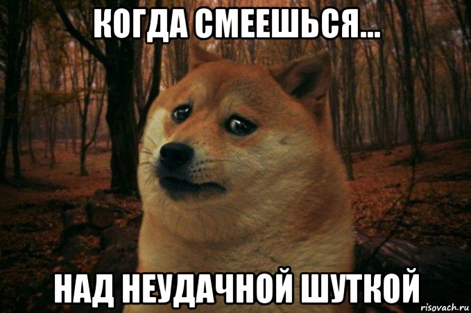 когда смеешься... над неудачной шуткой, Мем SAD DOGE