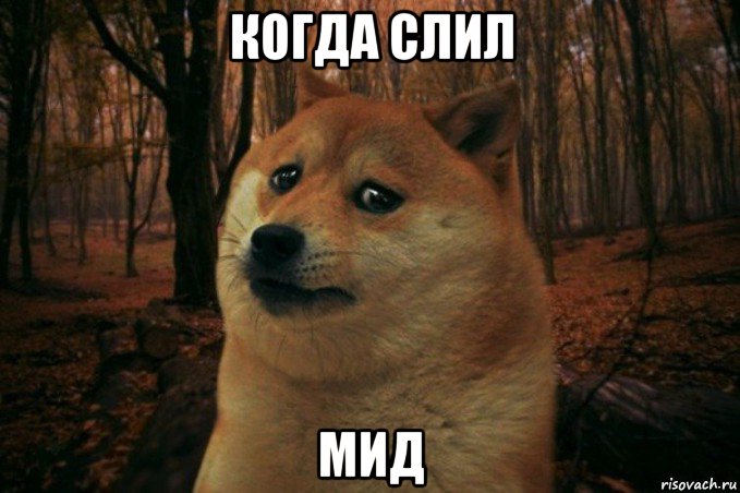 когда слил мид, Мем SAD DOGE