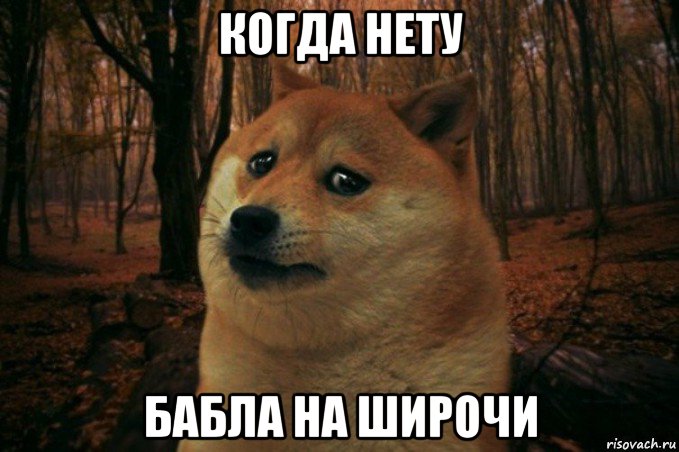 когда нету бабла на широчи, Мем SAD DOGE