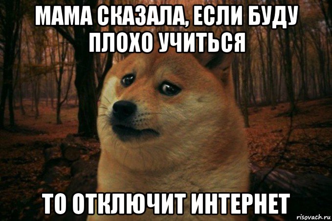 мама сказала, если буду плохо учиться то отключит интернет, Мем SAD DOGE