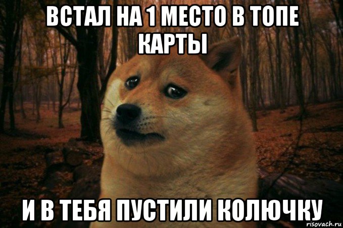 встал на 1 место в топе карты и в тебя пустили колючку, Мем SAD DOGE