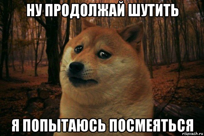 ну продолжай шутить я попытаюсь посмеяться, Мем SAD DOGE