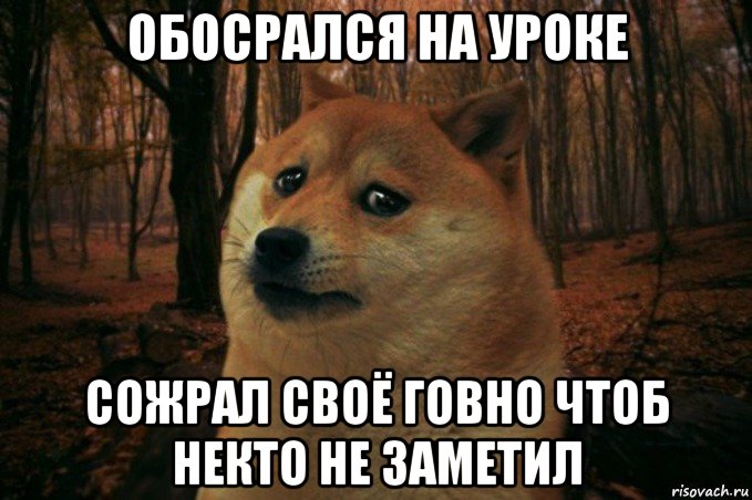 обосрался на уроке сожрал своё говно чтоб некто не заметил, Мем SAD DOGE