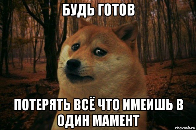 будь готов потерять всё что имеишь в один мамент, Мем SAD DOGE