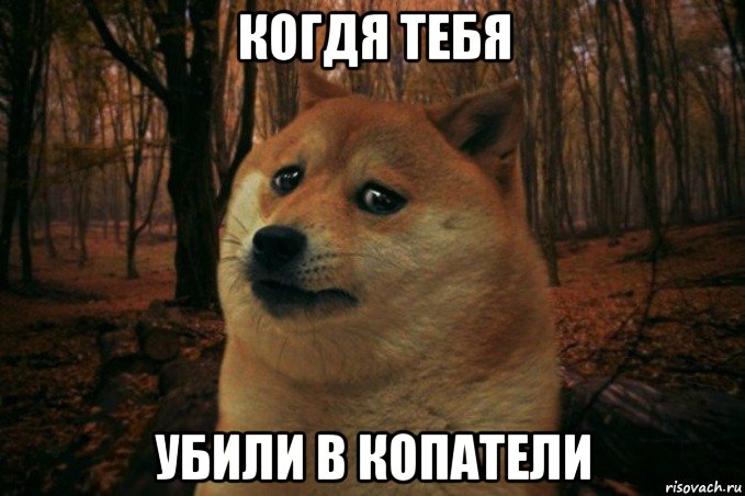 когдя тебя убили в копатели, Мем SAD DOGE