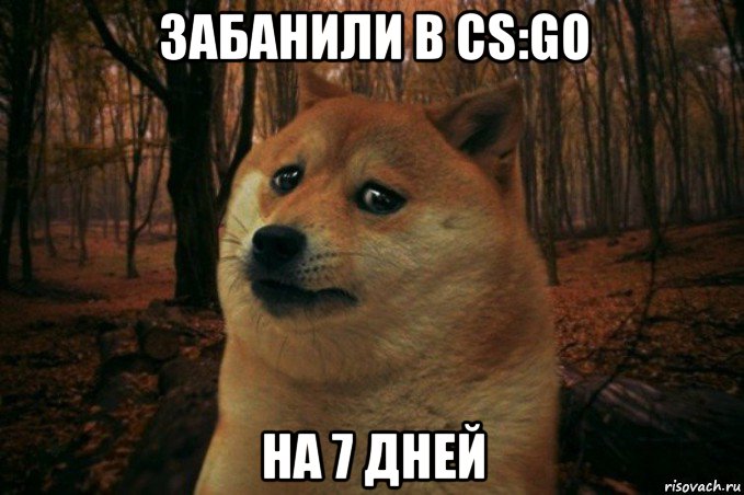 забанили в cs:go на 7 дней, Мем SAD DOGE