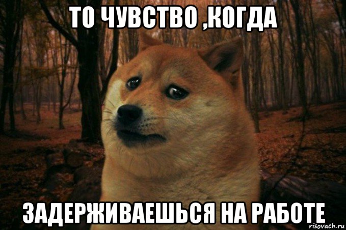 то чувство ,когда задерживаешься на работе, Мем SAD DOGE