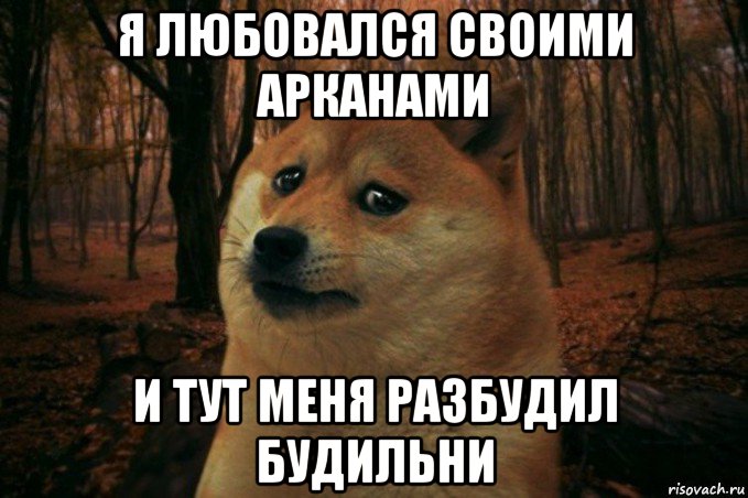 я любовался своими арканами и тут меня разбудил будильни, Мем SAD DOGE