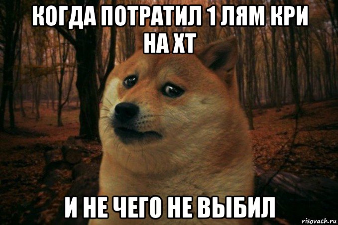 когда потратил 1 лям кри на хт и не чего не выбил, Мем SAD DOGE