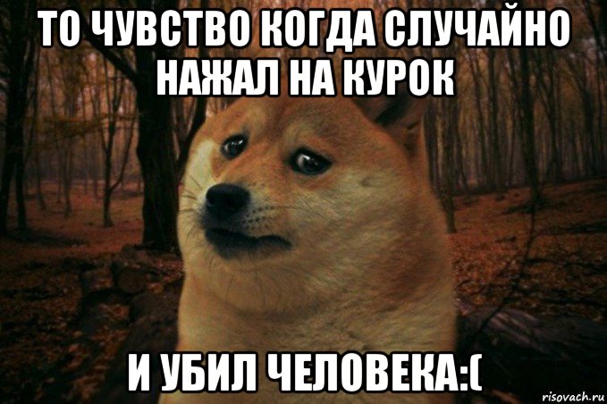 то чувство когда случайно нажал на курок и убил человека:(, Мем SAD DOGE