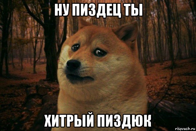 ну пиздец ты хитрый пиздюк, Мем SAD DOGE