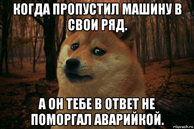 когда пропустил машину в свои ряд. а он тебе в ответ не поморгал аварийкой., Мем SAD DOGE