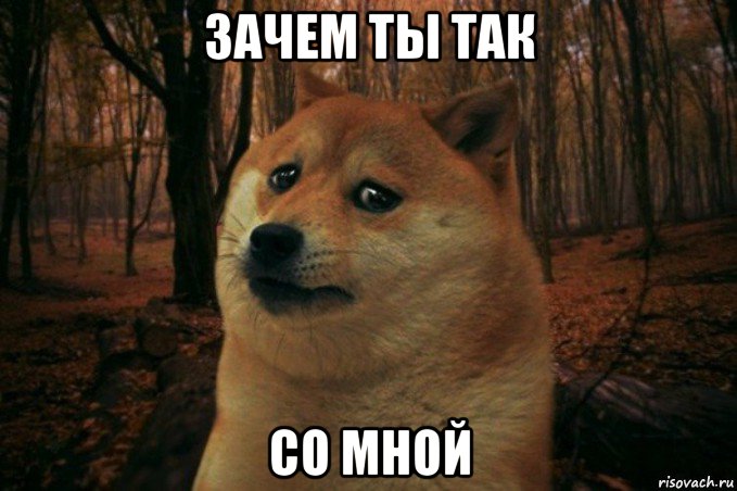 зачем ты так со мной, Мем SAD DOGE