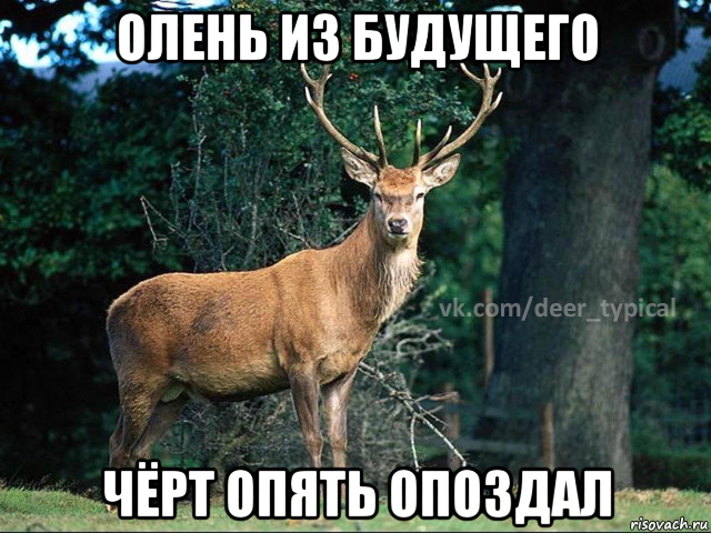 олень из будущего чёрт опять опоздал